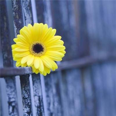 乐动体育app下注下载截图