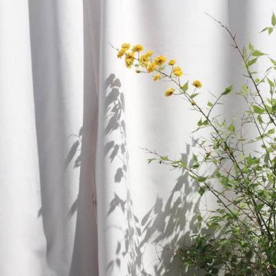 皇冠正规娱乐平台(官方)手机app下载截图