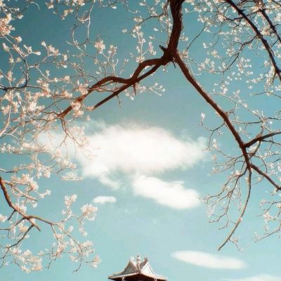 皇冠正规娱乐平台(官方)手机app下载